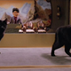 Image for article titled True Stories of Animal Actors in Science Fiction and Fantasy Movies